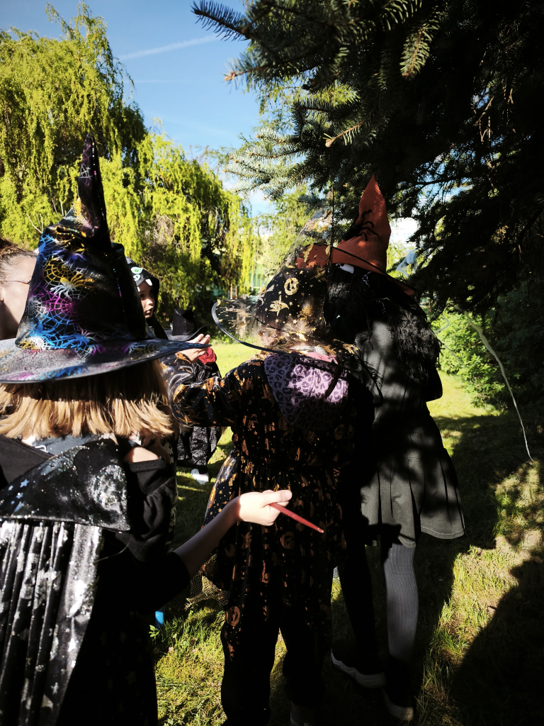 19500.jpg
